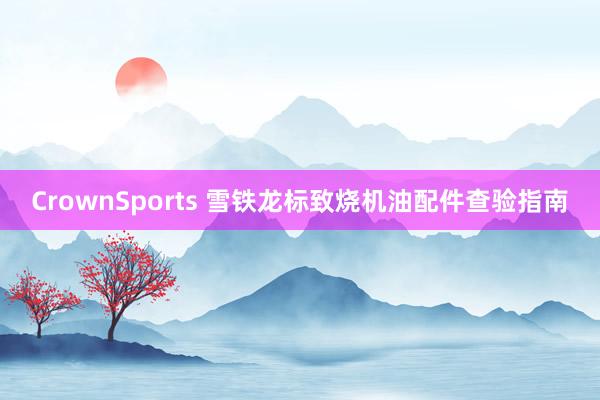 CrownSports 雪铁龙标致烧机油配件查验指南