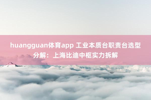 huangguan体育app 工业本质台职责台选型分解：上海比迪中枢实力拆解