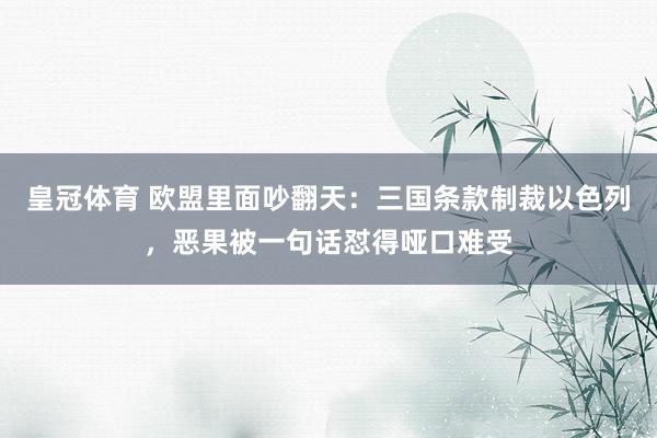皇冠体育 欧盟里面吵翻天：三国条款制裁以色列，恶果被一句话怼得哑口难受