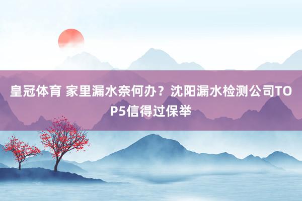皇冠体育 家里漏水奈何办？沈阳漏水检测公司TOP5信得过保举