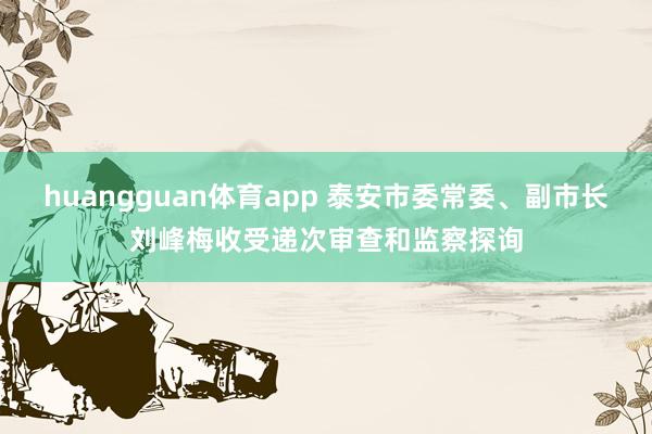 huangguan体育app 泰安市委常委、副市长刘峰梅收受递次审查和监察探询