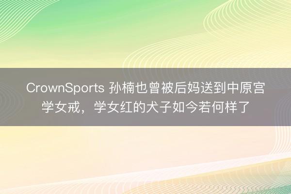 CrownSports 孙楠也曾被后妈送到中原宫学女戒，学女红的犬子如今若何样了