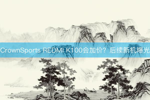 CrownSports REDMI K100会加价？后续新机曝光